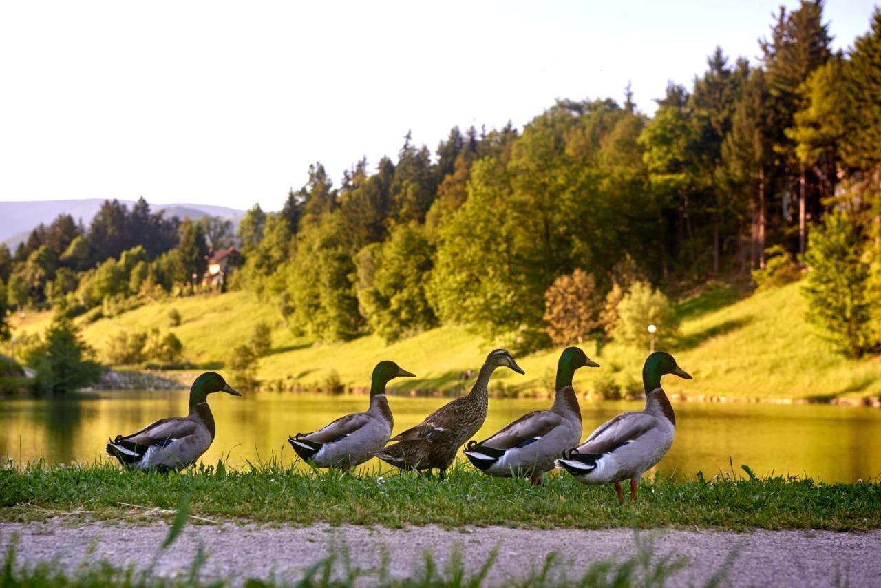 Terme Zrece - Hotel Atrij Luaran gambar